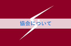 ケイ素化学協会について